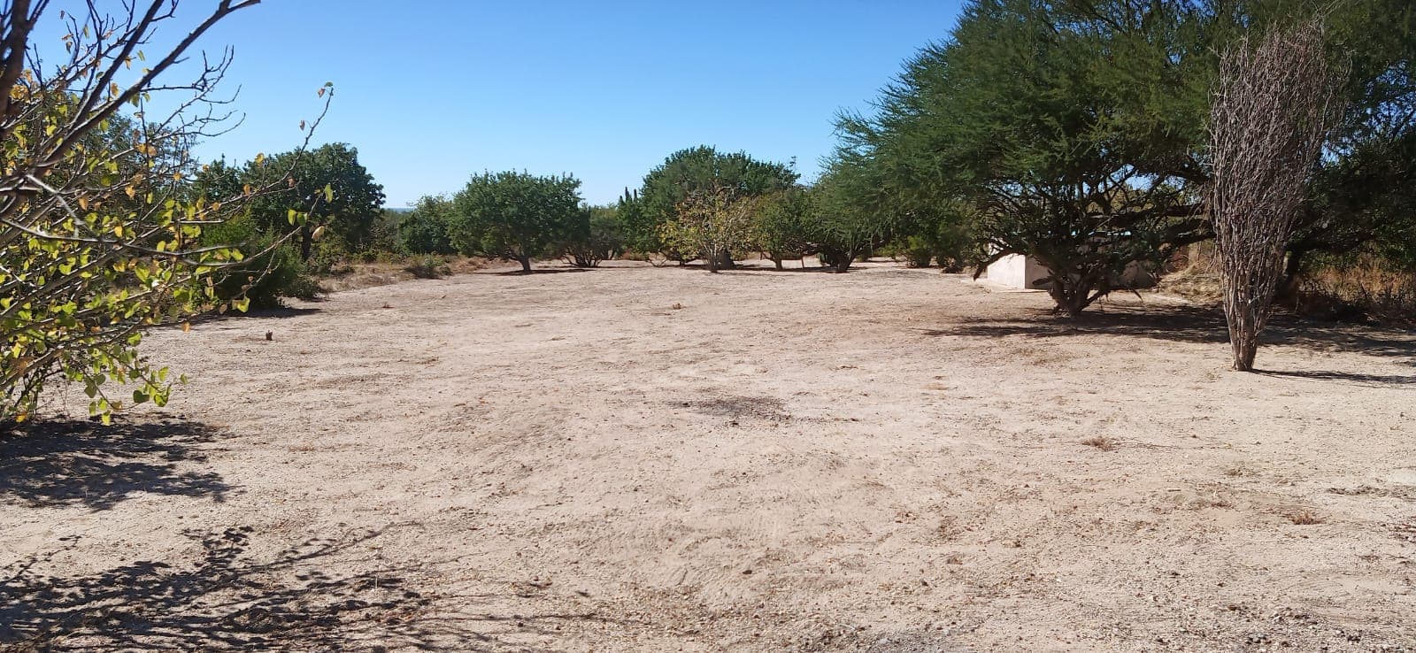 TERRENO EN VENTA EN LA PAZ,BCS, FRACC. CAMPESTRE EL CARDON - 1
