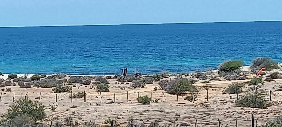 TERRENO EN VENTA, PUNTA PESCADERO PARADISE, B.C.S - 1