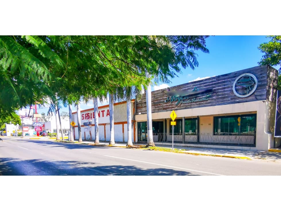 Prolongacion Paseo De Montejo Propiedad En Renta Para Uso Comercial - 1