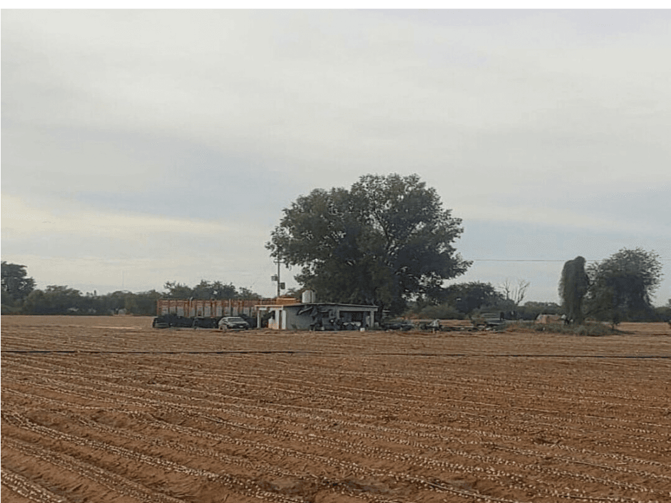 SE VENDE 17.87 HECTAREAS TERRENO AGRICOLA COL. COCORIT SONORA - 1