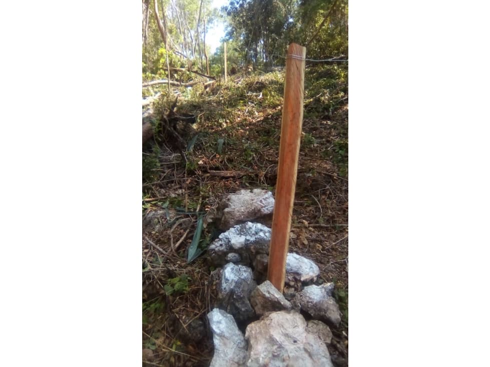 Venta de Terreno Rural de 80 ha? Champotón, Camp. - 1