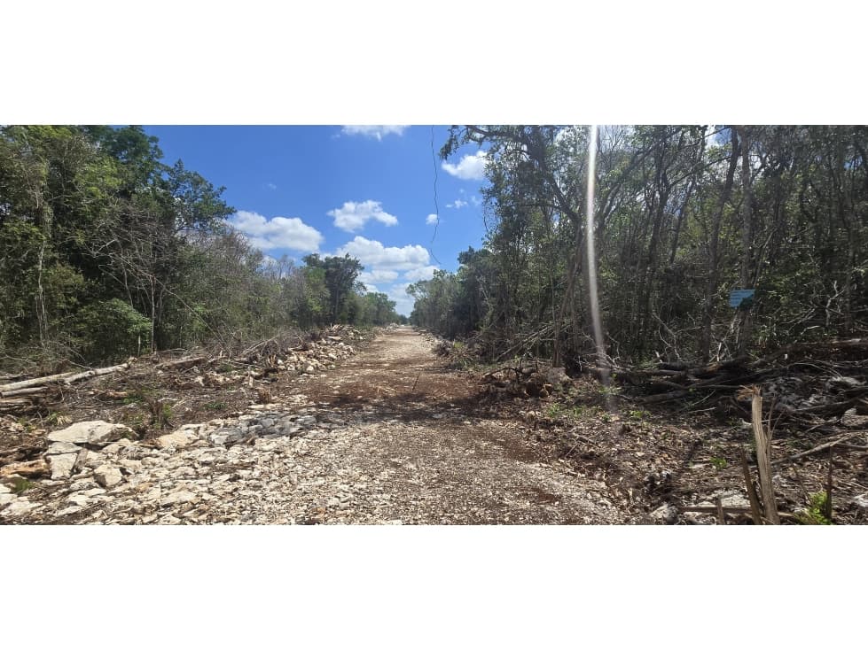 170 HECTAREAS TITULADAS EN PUERTO MORELOS - 1