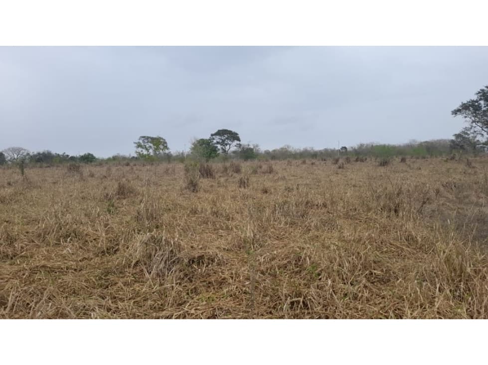 Venta 18 hectáreas Tampico Alto - 1