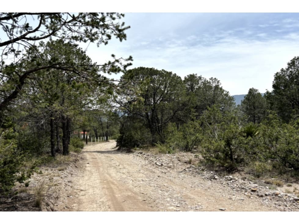 Terreno campestre en VENTA en Pino Real RTV605487 - 1