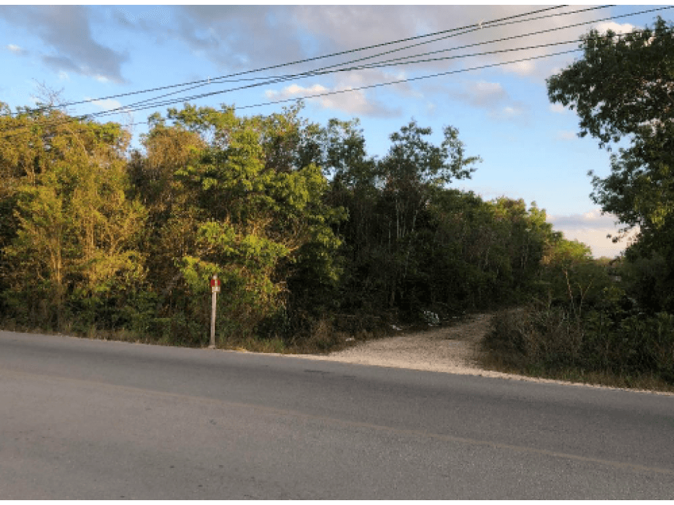 Terreno en venta en Av. Rogelio Castorena, Sm 307,Cancún - 1