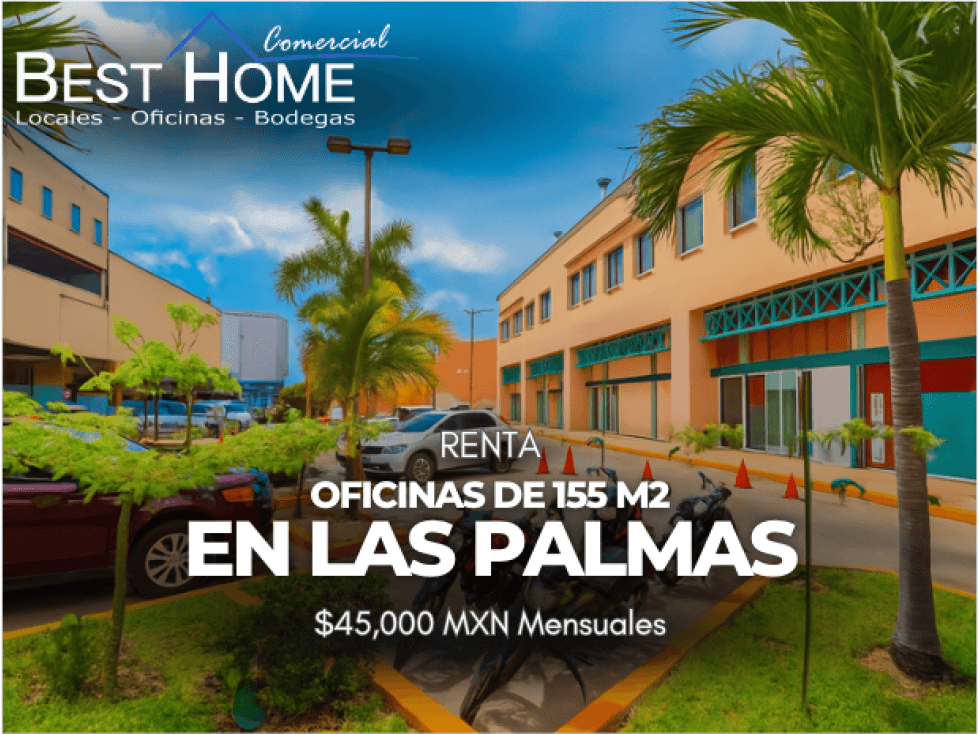 Oficina de 155 m2 en renta en las palmas-Cancún - 1