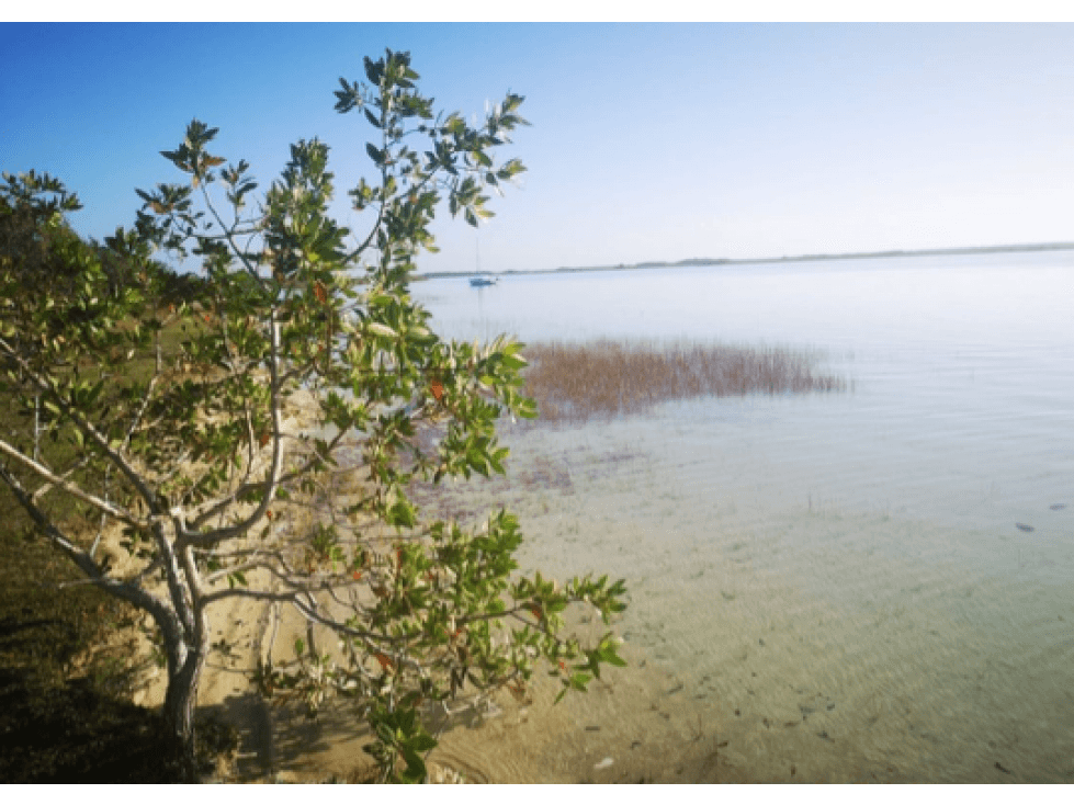 VENTA TERRENO HOTELERO BACALAR - 1