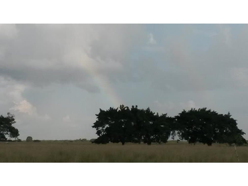 VENTA - Rancho El Marino 82ha Campo Alto Balancan - 1