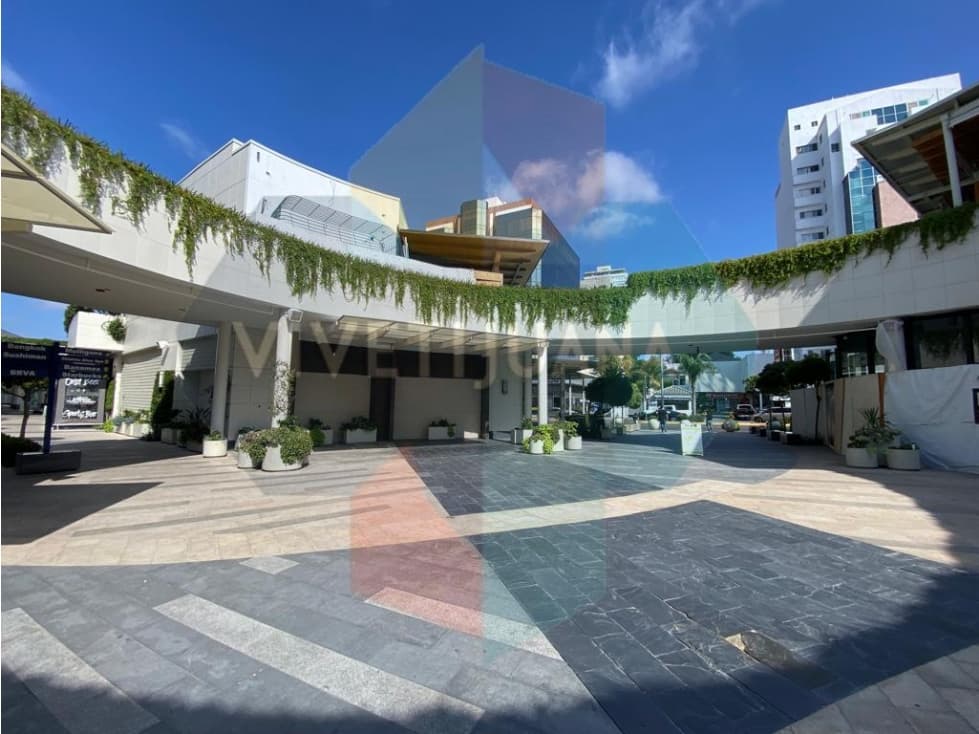 Local comercial Paseo Chapultepec 253mts - 1