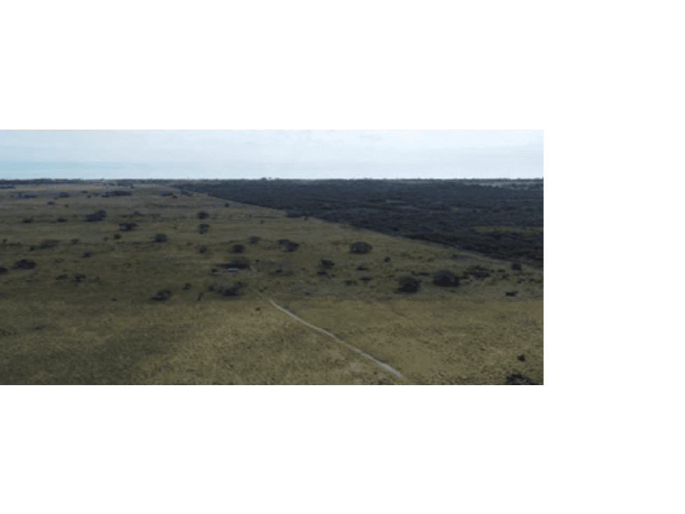 Ranchos en Venta en Tamiahua, Veracruz, Ideal Para Inversionistas - 1