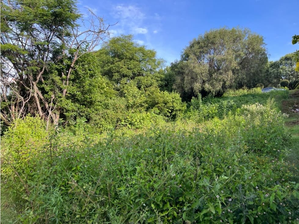 VENTA DE TERRENO EN GRAN RESERVA, IXTAPAN DE LA SAL - 1