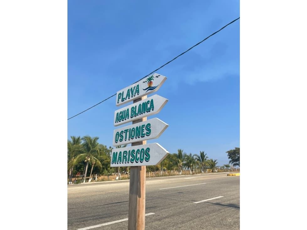 SE VENDEN LOTES EN PLAYA BLANCA TONAMECA - 1