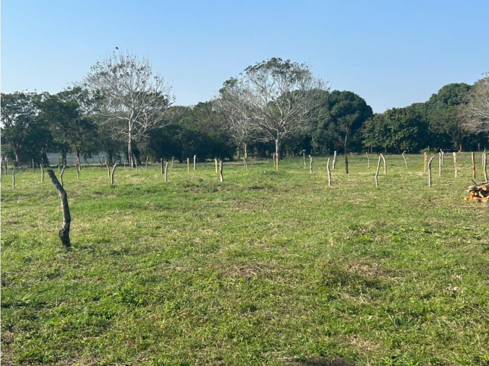 TERRENO EN PAGOS INMEDIACIONES DE MEDELLIN DE BRAVO - 1