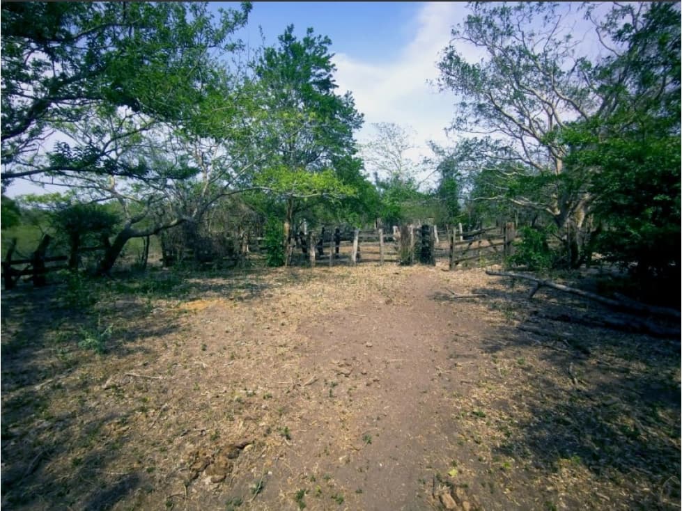 VENTA RANCHO TAMPICO ALTO VERACRUZ - 1