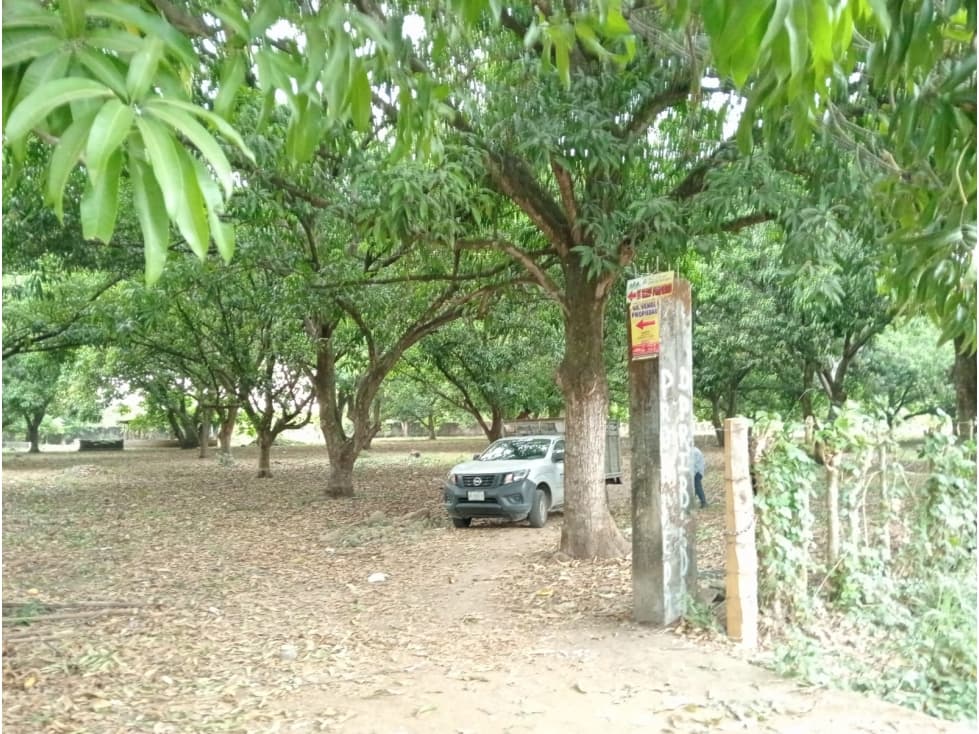 VENTA TERRENO SACRIFICIO TUXTLA CHICO CHIAPAS - 1