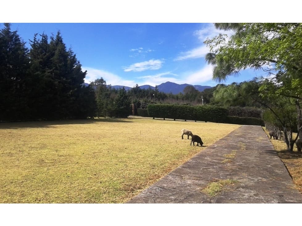 Terreno En Venta Jilotzingo - 1