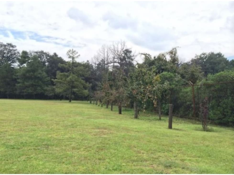 Terreno en Venta Jilotzingo Espiritu Santo - 1