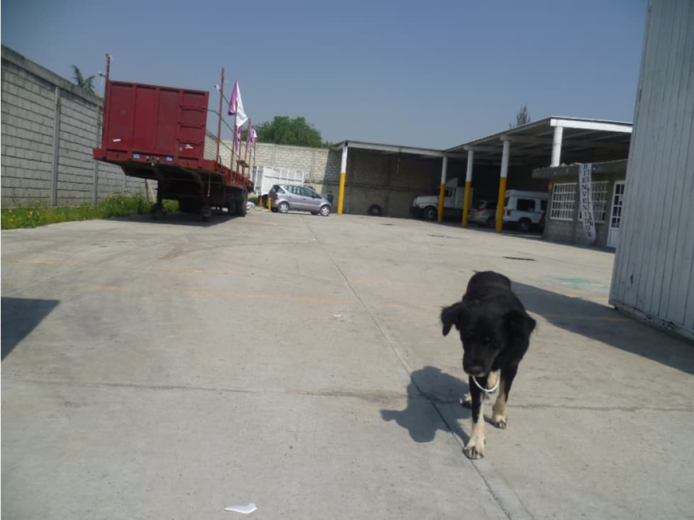 Bodega Industrial En Renta Tultitlan - 1