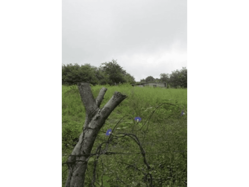 Terrenos en venta en Xochicalco - 1