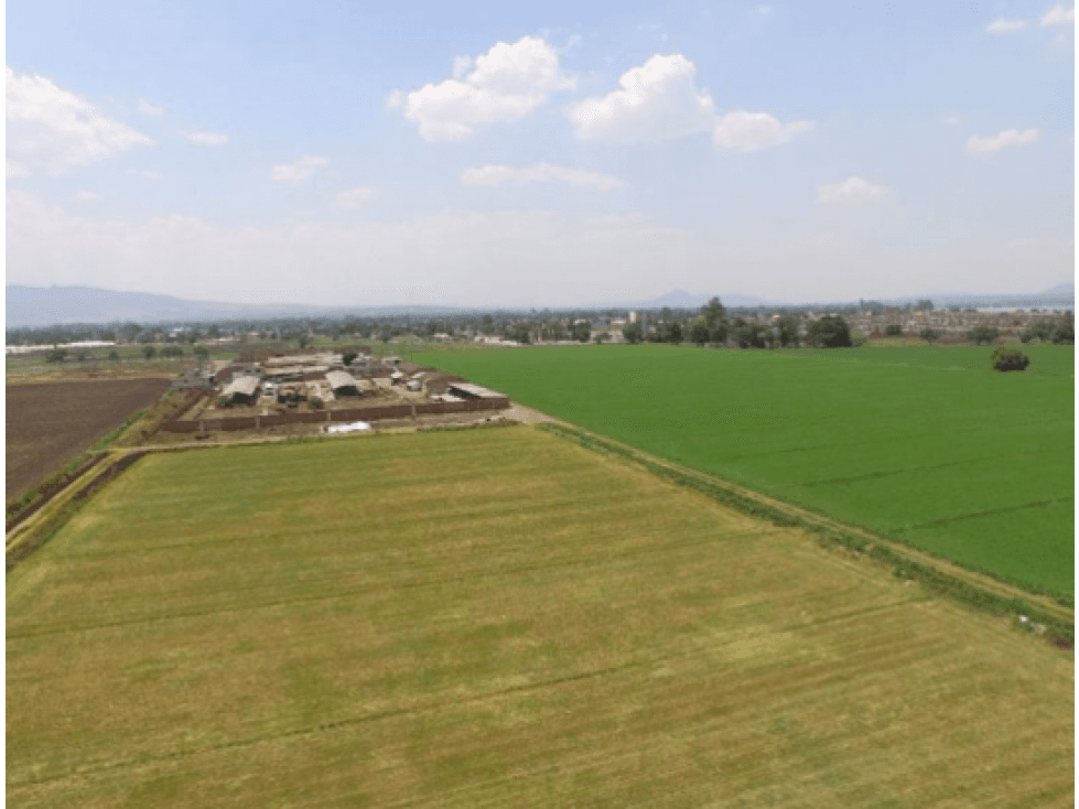 Terreno en Venta en Teoloyucan - 1