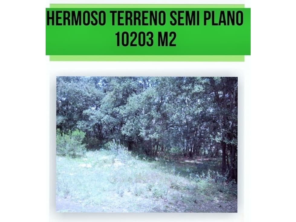 Excelente Terreno semiplano en Jilotzingo - 1