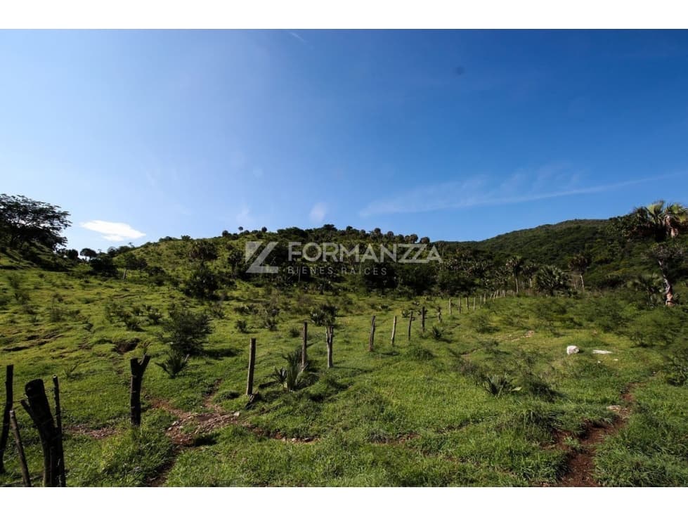 Rancho ganadero en venta "El Tecuán ll" - 1
