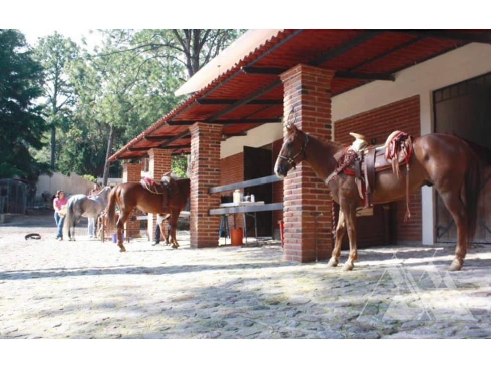 Venta Rancho Hípico en Huitzilac / Morelos - 1