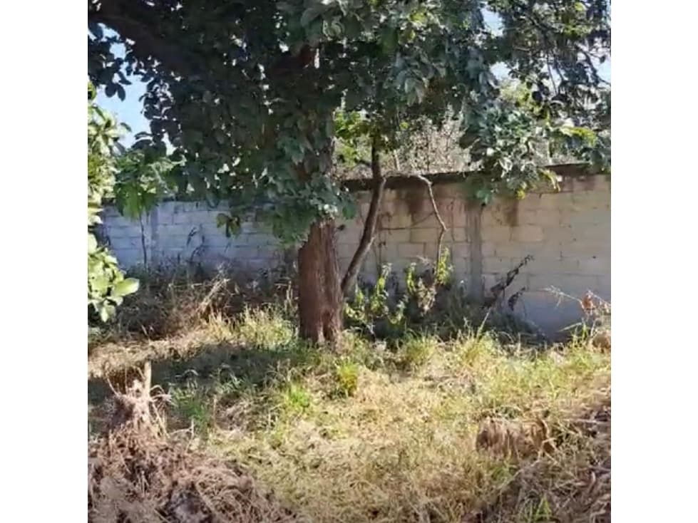 Venta Terreno en Centro de Jiutepec, Morelos - 1