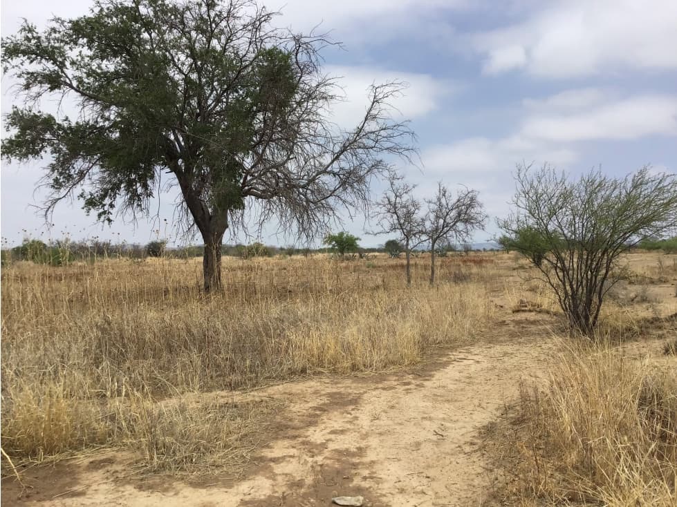 Terreno en Venta en Macuyu Coahuila - 1