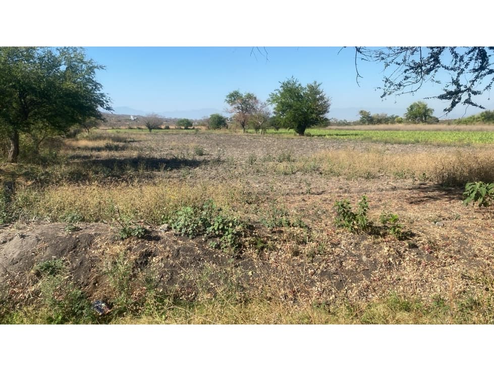 LOTES EN ZONA DE DESCANSO $1750 x m2 - 1