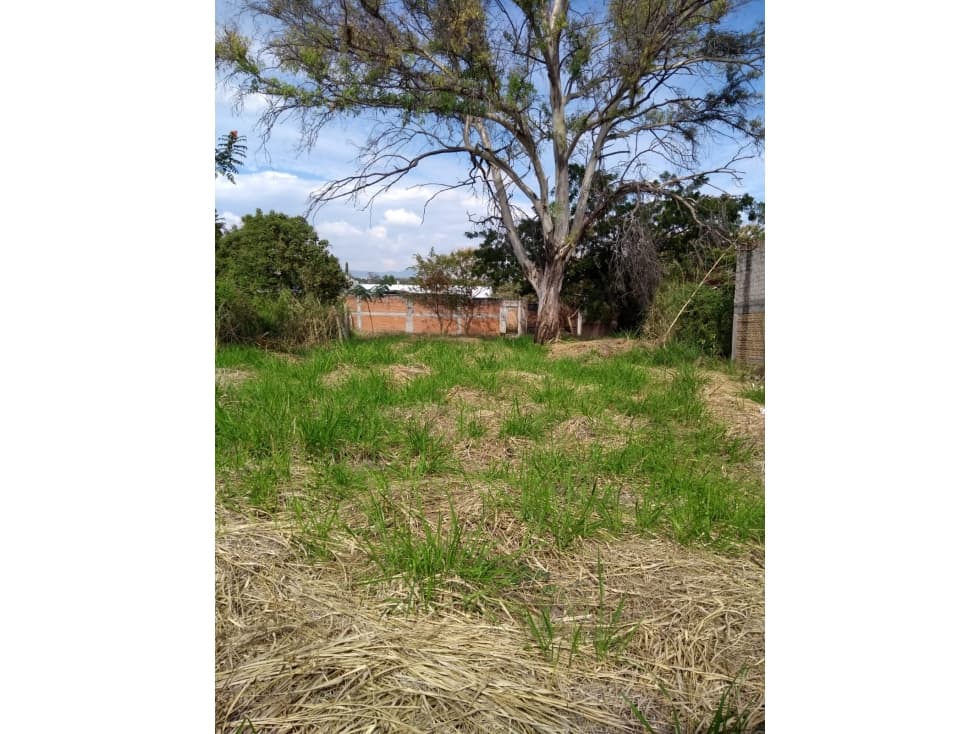 Venta de terreno en el centro de Oaxtepec - 1