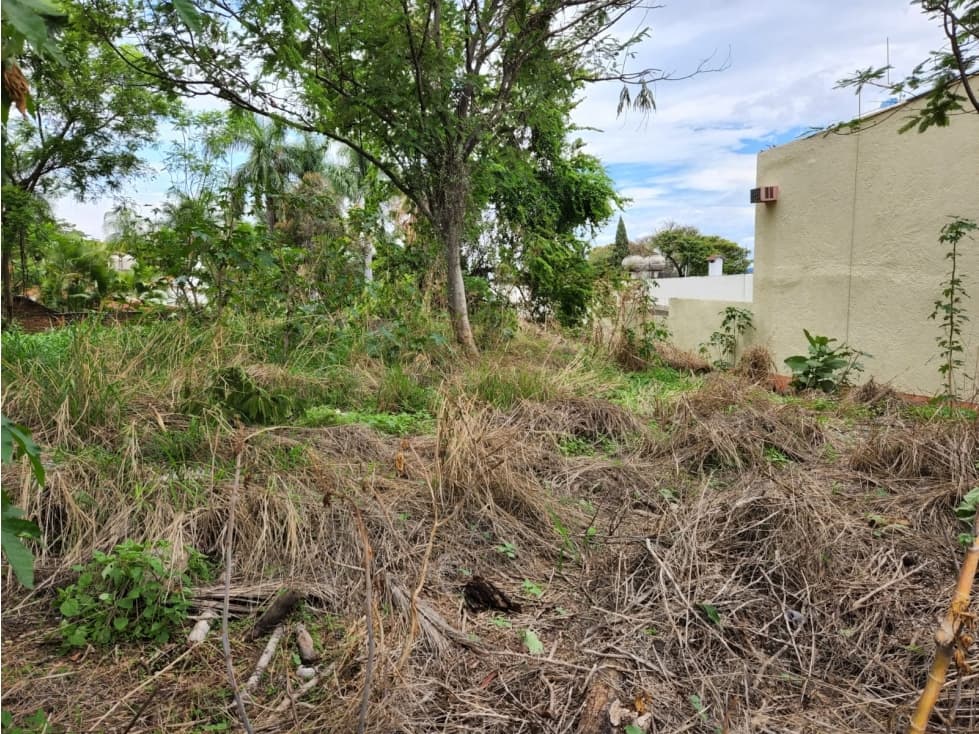 Venta de Terreno en La Colonia Las Palmas - 1