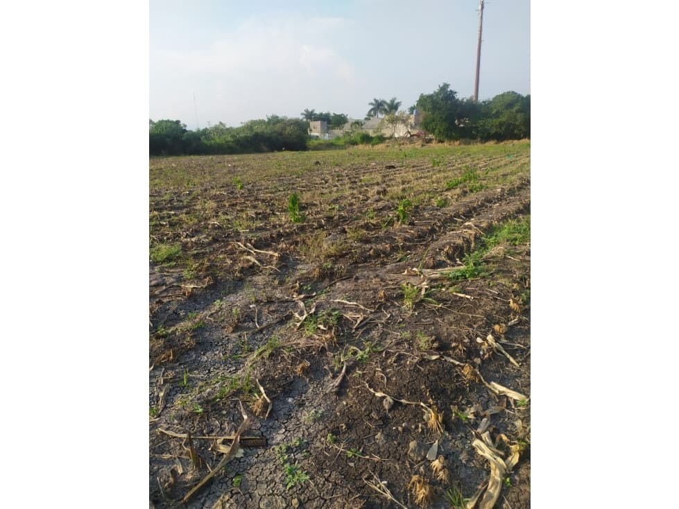 Venta de Terreno en el Centro de Xochitepec - 1