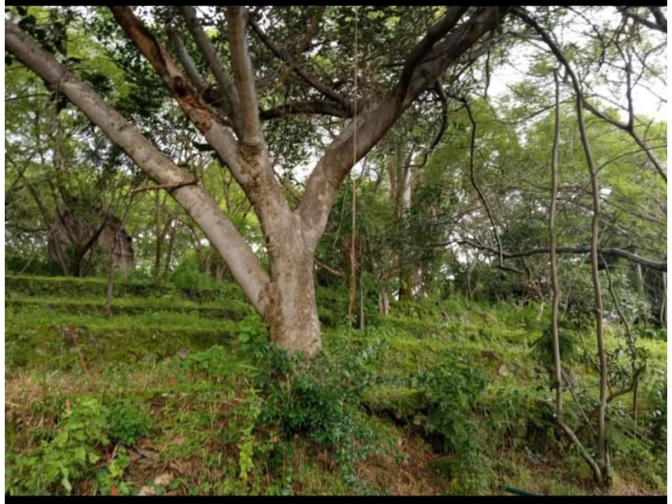 Venta de Terrenos en La Colonia La Pradera - 1