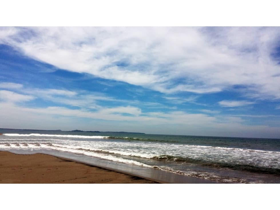 Terreno en Venta con frende de Playa en Dimas, Sinaloa - 1
