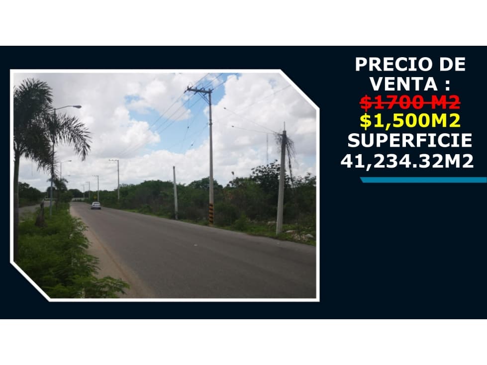 Venta de terreno en Dzitya Precio por metro cuadrádo Norte Yucatán - 1