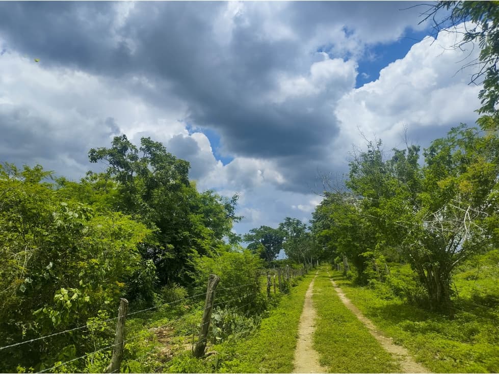 Rancho Ganadero en Venta, PROPIEDAD PRIVADA, 453 HAS, con cenotes - 1