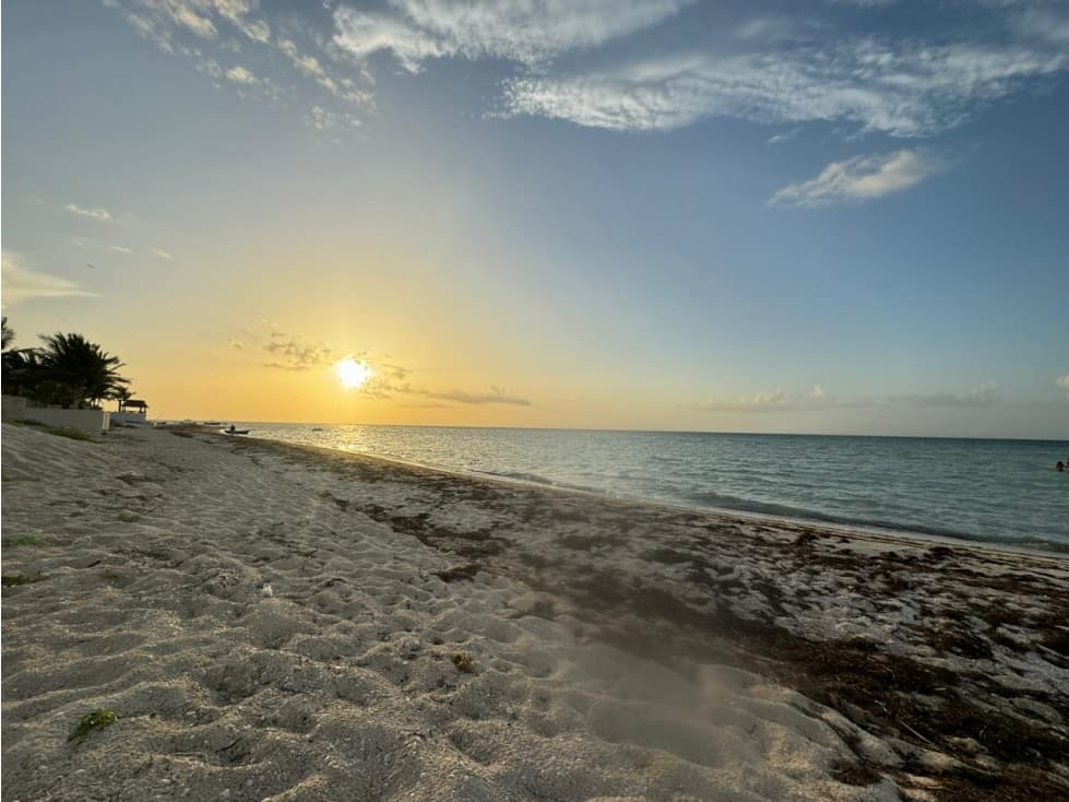 Terreno en venta, frente al mar, en San Benito, Yucatán - 1