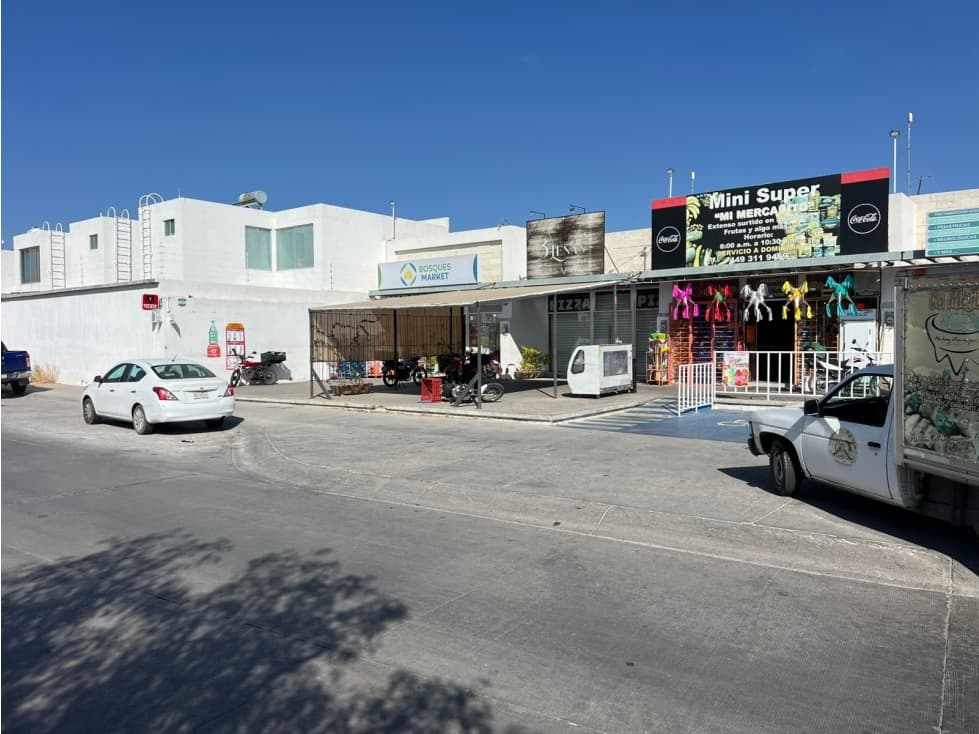 03254 VENTA DE LOCALES AL PONIENTE, EN BOSQUE SERENO, AGUASCALIENTES - 1
