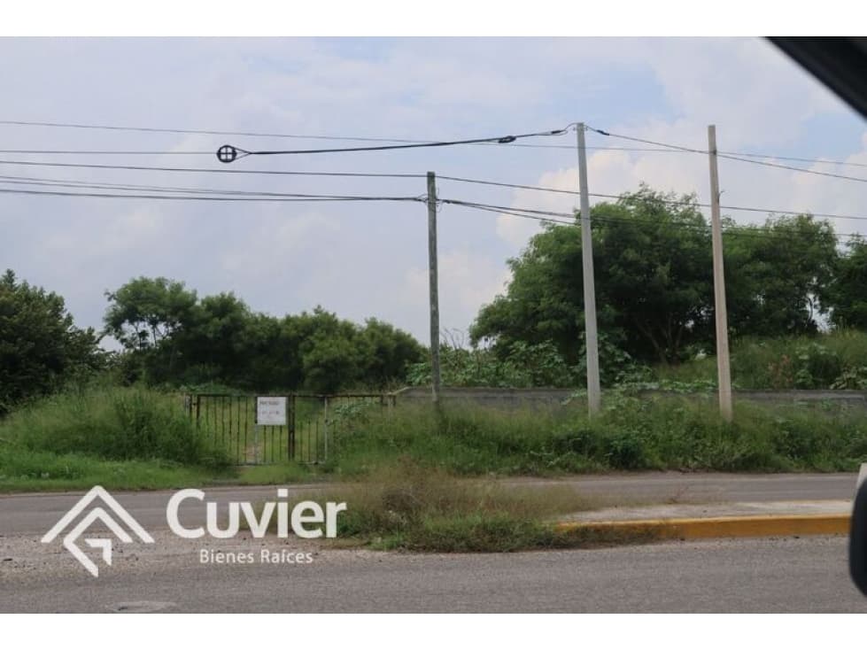 TV2397-CM TERRENO EN VENTA, COL. MIRAMAPOLIS - 1