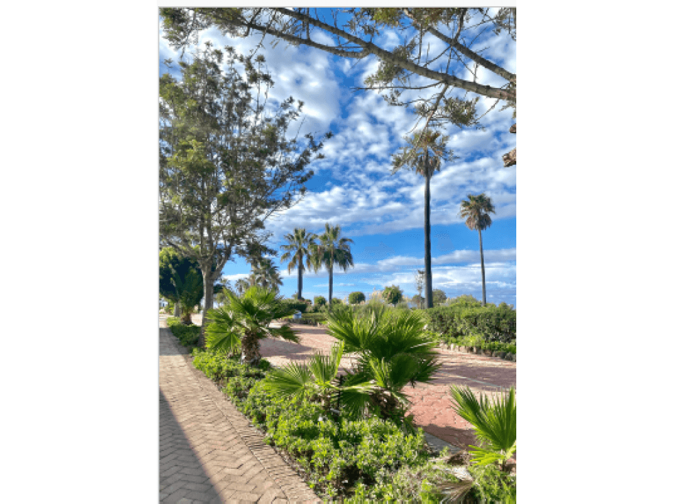 TERRENOS EN VENTA EN AMORAR EN BAJAMAR OCEAN FRONT GOLF RESORT - 1