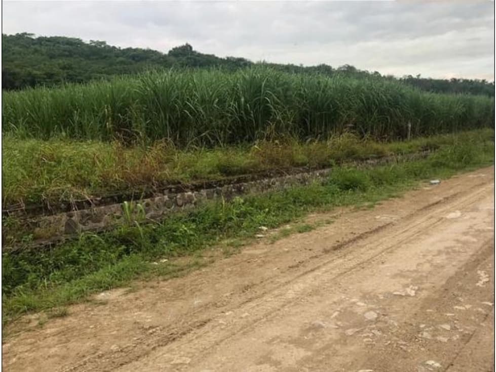 DE OPORTUNIDAD 10.9 HECTAREAS EN VENTA EN ACATITAN COLIMA - 1