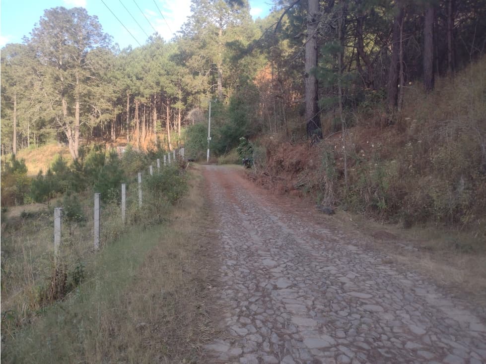 Bonito Terreno amplio en zona de Bosque de Mazamitla Jalisco - 1