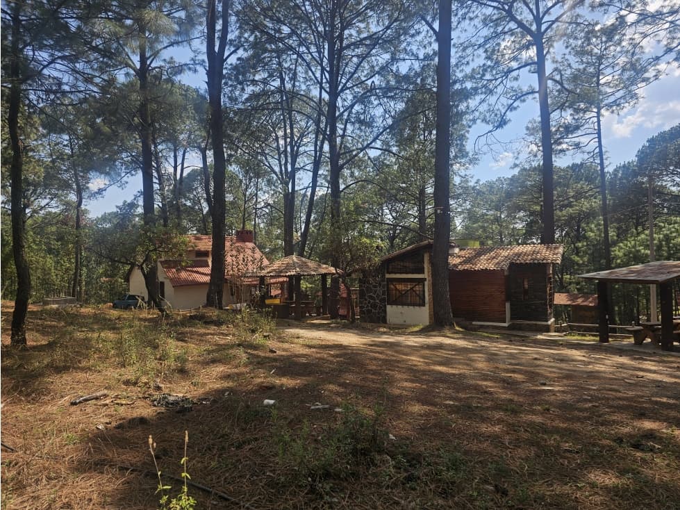 Hermoso Terreno en el Bosque de Mazamitla, Jalisco - 1