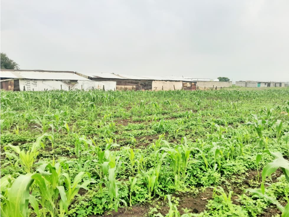 VENTA DE TERRENO EN CHALCO PARQUE INDUSTRIAL ESTADO DE MEXICO - 1
