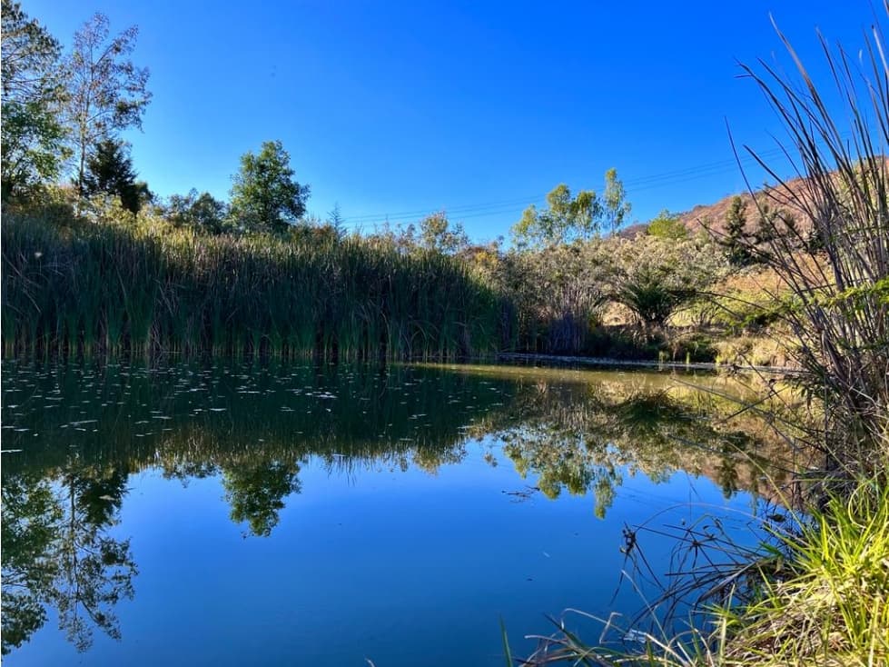 TERRENO EN VENTA, TILOXTOC, VALLE DE BRAVO - 1