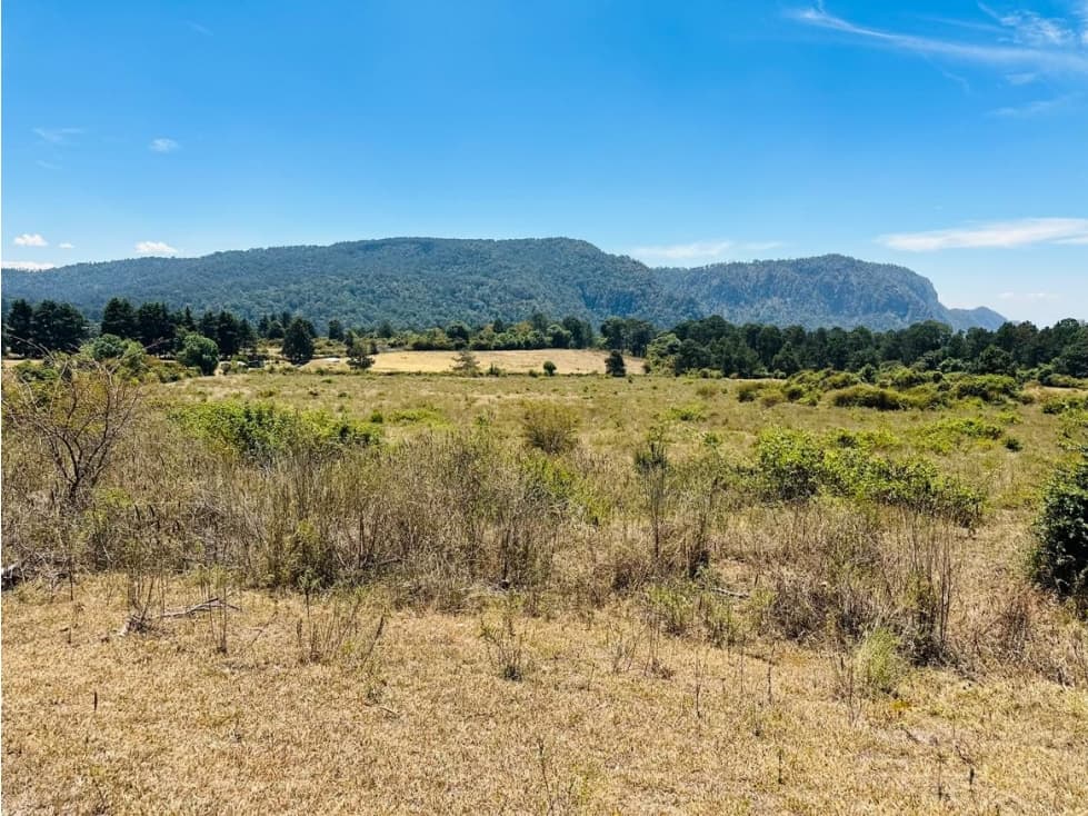 TERRENO VENTA EL MANZANO VALLE DE BRAVO - 1