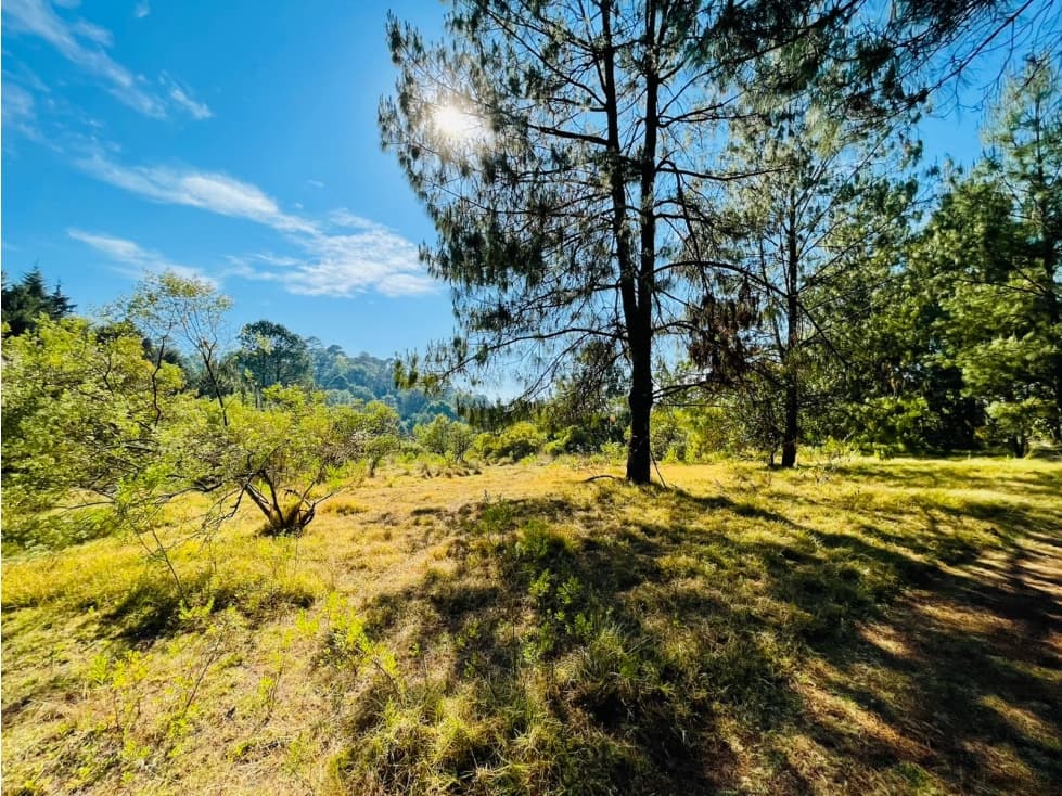 RANCHO SAN RAMON - 1