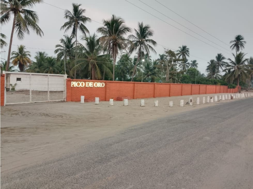 LOTE RUSTICO EN VENTA (CENTLA, TABASCO) - 1