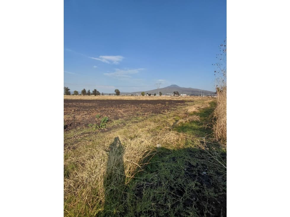 EN VENTA ,TIERRAS DE CULTIVO 16,792 m² EN ZAMORA MICHOACÁN - 1